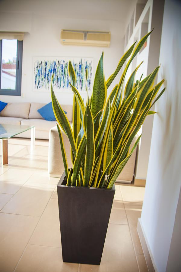 Villa Infinite Blu Paphos Luaran gambar